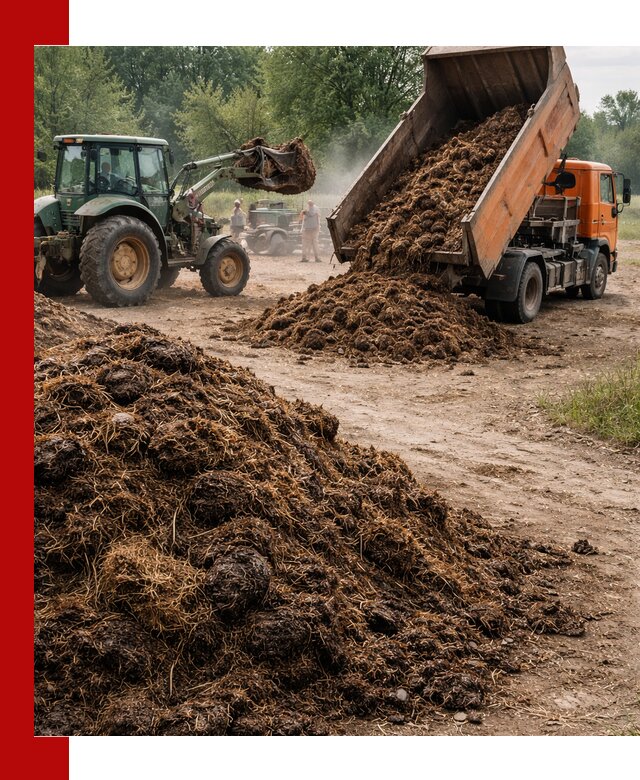 Доставка навоза самосвалами в Ногинске для сельхозпотребностей